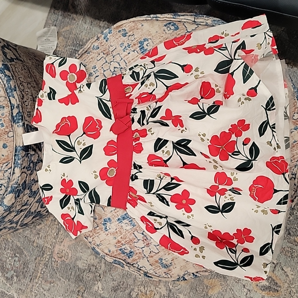 Carters holiday floral dress